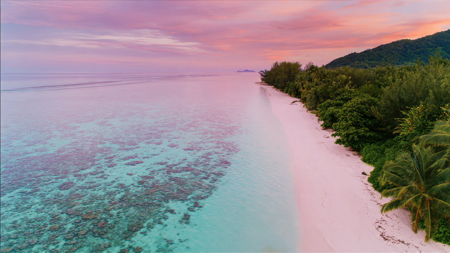 Aerial View of Tropical Beach with Turquoise Water | 4K Wallpaper
